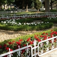 2012.06.15-245.JPG