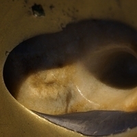 2012.06.15-410.JPG