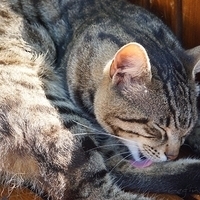 2012.06.15-510.JPG