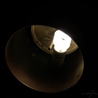 2012.06.15-532.JPG