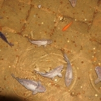 2012.06.15-541.JPG