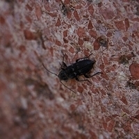 2012.06.15-589.JPG