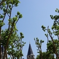 2012.06.15-602.JPG