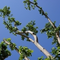 2012.06.15-609.JPG