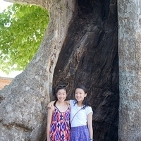 2012.06.15-677.JPG