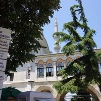 2012.06.15-724.JPG