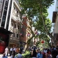 2012.06.15-728.JPG