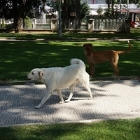 2012.06.15-793.JPG
