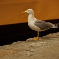 2012.06.15-882.JPG