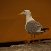 2012.06.15-883.JPG