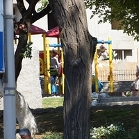 2012.06.16-039.JPG