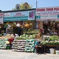 2012.06.16-084.JPG