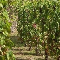 2012.06.21-253.JPG