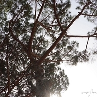 2012.06.21-266.JPG