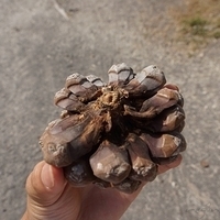 2012.06.21-291.JPG