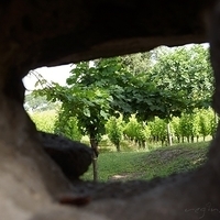 2012.06.21-317.JPG