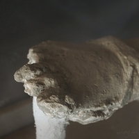 2012.06.21-337.JPG