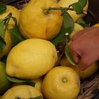 2012.06.21-455.JPG