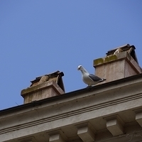 2012.06.08-079.JPG