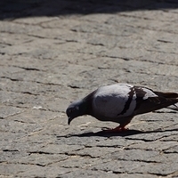 2012.06.08-107.JPG
