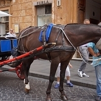 2012.06.08-135.JPG