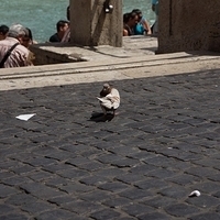 2012.06.08-158.JPG