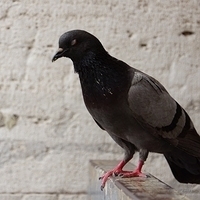 2012.06.09-471.JPG