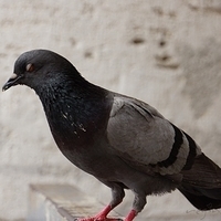 2012.06.09-473.JPG