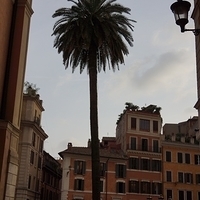 2012.06.09-661.JPG