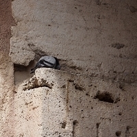 2012.06.10-264.JPG
