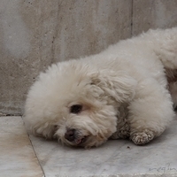 2012.06.10-282.JPG