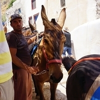 2012.06.13-081.JPG