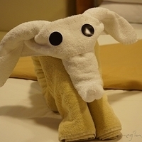 2012.06.12-186.JPG