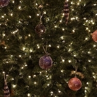 2012.12.25-057.JPG