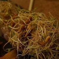 2012.12.19-039.JPG