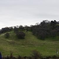2012.12.20-019.JPG
