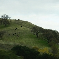 2012.12.20-024.JPG