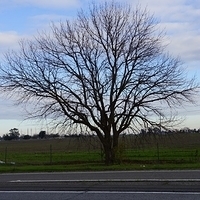 2012.12.20-029.JPG