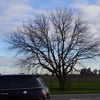 2012.12.20-030.JPG