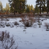 2012.12.21-001.JPG