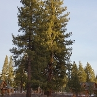 2012.12.21-002.JPG