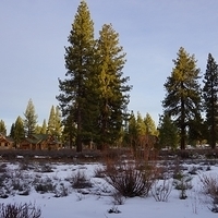 2012.12.21-003.JPG