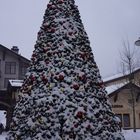 2012.12.21-215.JPG