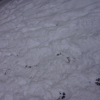 2012.12.21-218.JPG