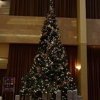 2012.12.22-002.JPG