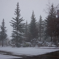 2012.12.22-007.JPG
