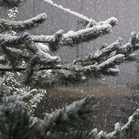 2012.12.22-022.JPG