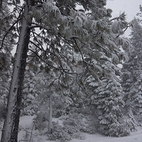 2012.12.22-031.JPG