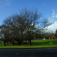 2012.12.22-064.JPG