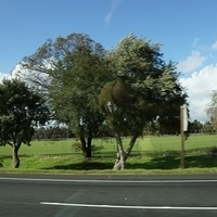 2012.12.22-065.JPG